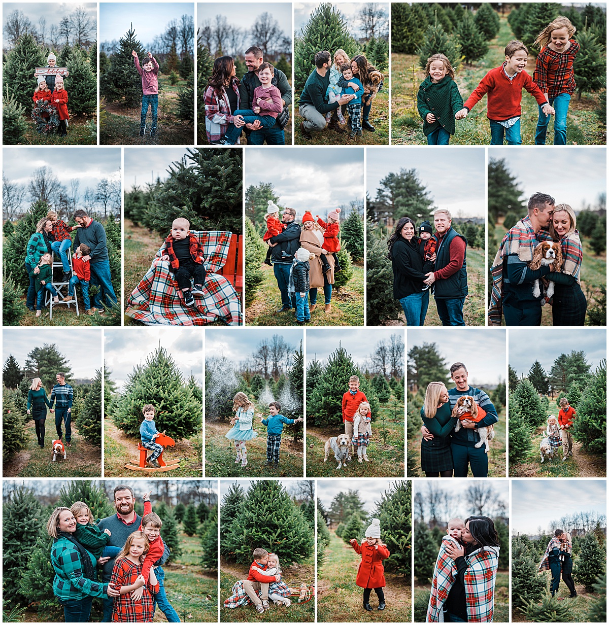 Christmas Tree farm Mini Photo Sessions in Columbus