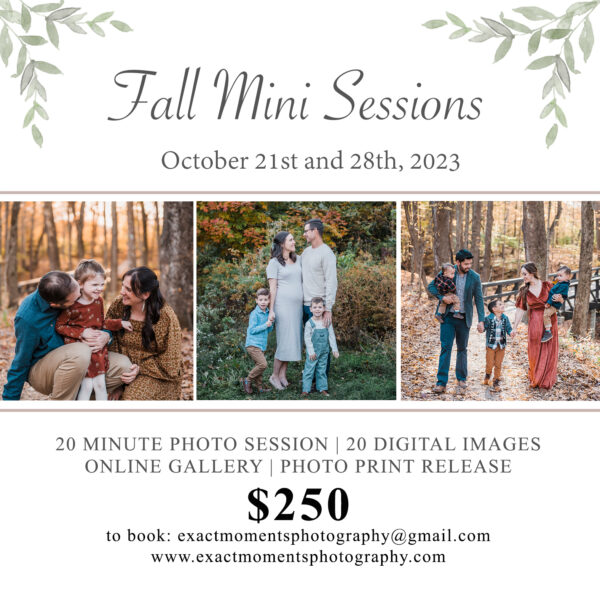 Fall Mini Sessions in Columbus Ohio